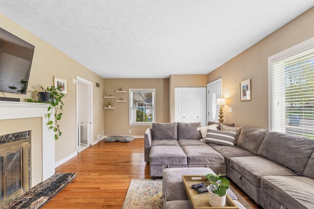 living area with baseboards, light wood-style flooring, a glass covered fireplace, and a healthy amount of sunlight