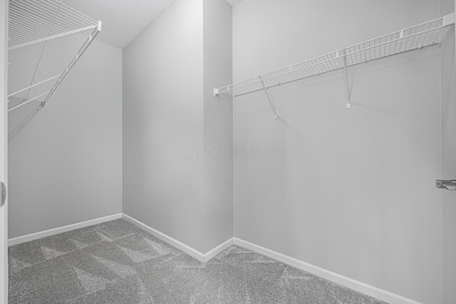 spacious closet with carpet flooring