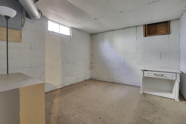 basement featuring carpet