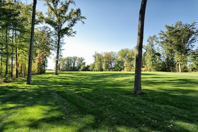 view of home's community featuring a yard