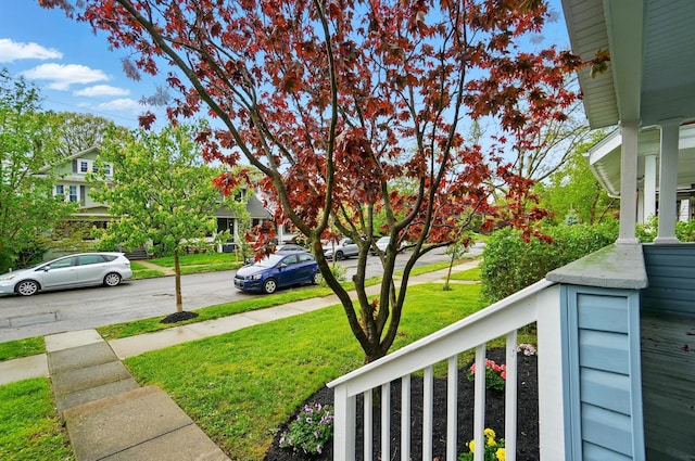 view of yard featuring a porch