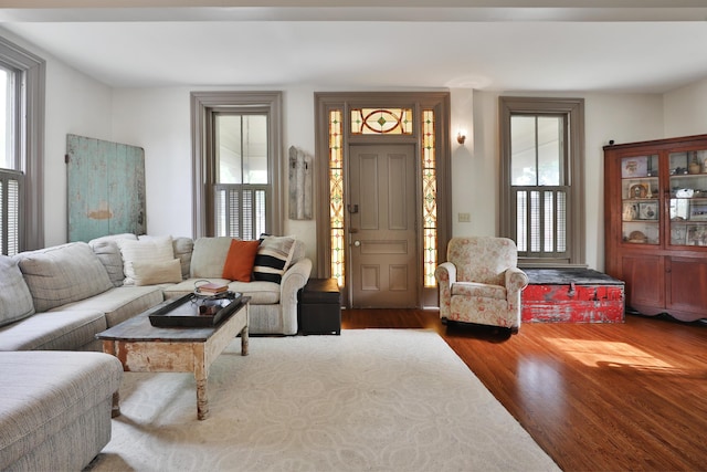 living room with a healthy amount of sunlight and wood finished floors