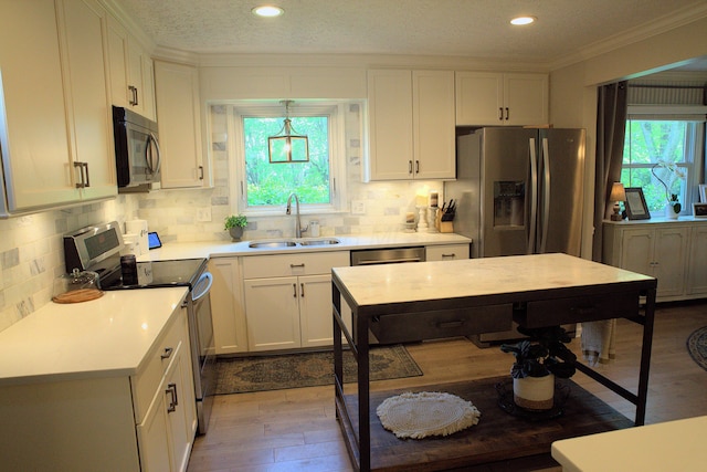 kitchen with a sink, tasteful backsplash, a wealth of natural light, and stainless steel appliances