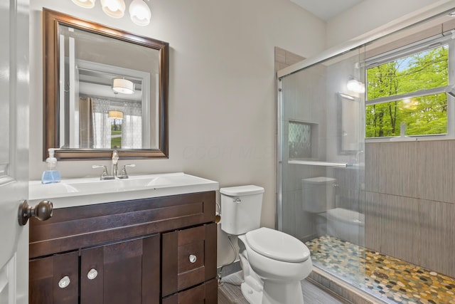 39403 State Route 689, Albany, OH 45710 - full bathroom featuring toilet, a shower stall, and vanity
