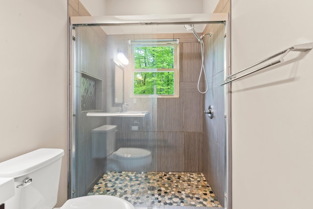 39403 State Route 689, Albany, OH 45710 - bathroom with toilet and a stall shower