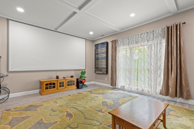 39403 State Route 689, Albany, OH 45710 - cinema featuring baseboards, coffered ceiling, wood finished floors, recessed lighting, and beamed ceiling