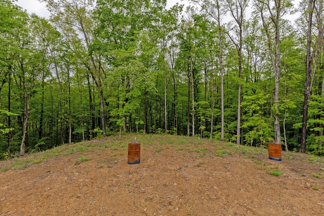 39403 State Route 689, Albany, OH 45710 - view of yard with a forest view