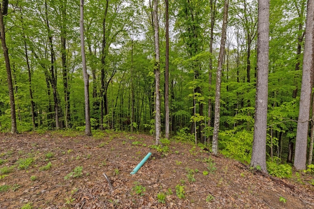 39403 State Route 689, Albany, OH 45710 - view of tree filled area