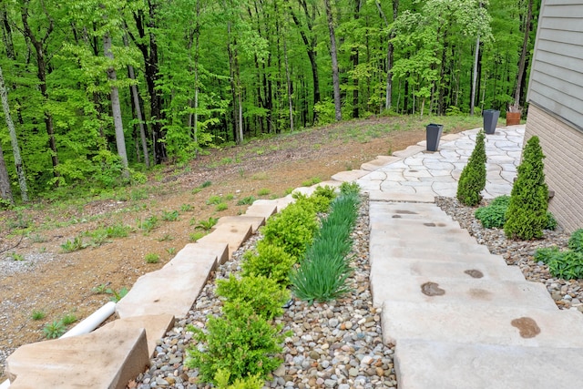 39403 State Route 689, Albany, OH 45710 - view of yard