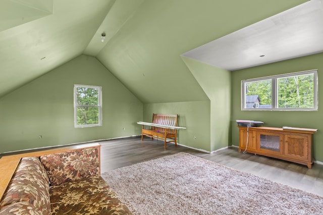 39403 State Route 689, Albany, OH 45710 - additional living space featuring wood finished floors, lofted ceiling, and baseboards