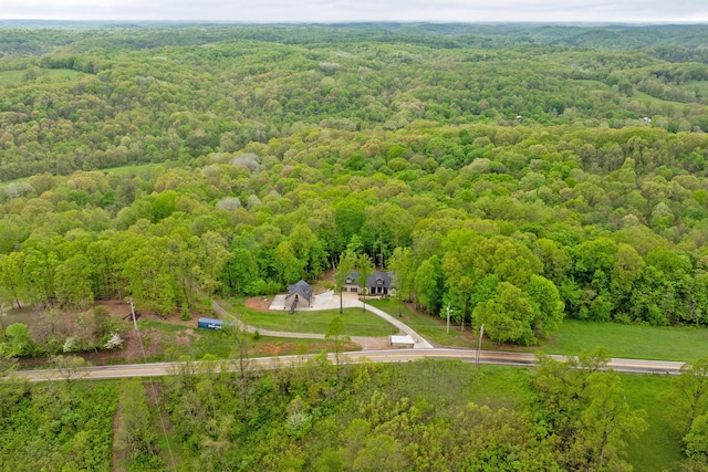 39403 State Route 689, Albany, OH 45710 - view of subject property featuring a heavily wooded area