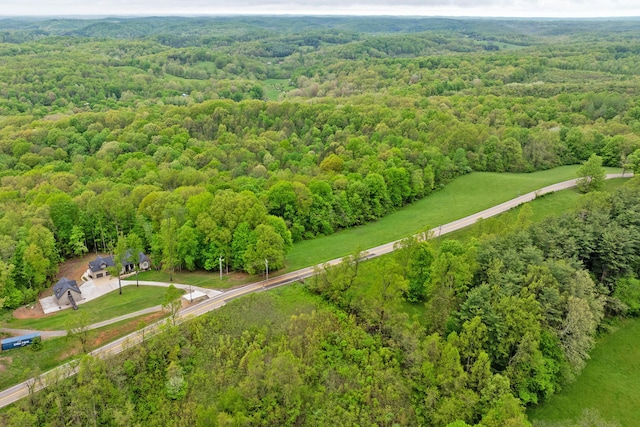 39403 State Route 689, Albany, OH 45710 - aerial view of a forest