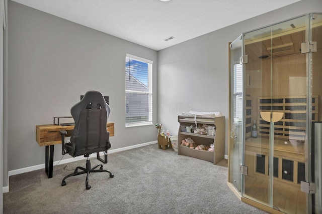 149 Broadmoore Blvd, Pataskala, OH 43062 - office area featuring baseboards, carpet flooring, a sauna, and visible vents