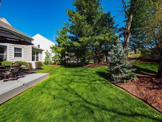 view of yard with a patio area
