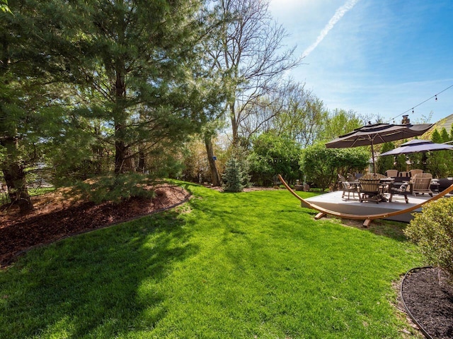 view of yard with a patio