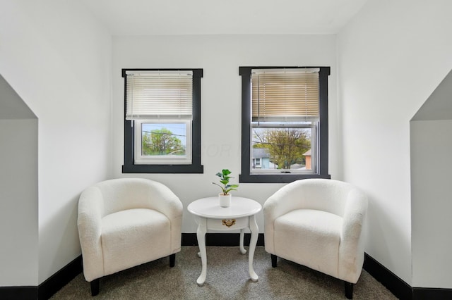 sitting room with baseboards and carpet