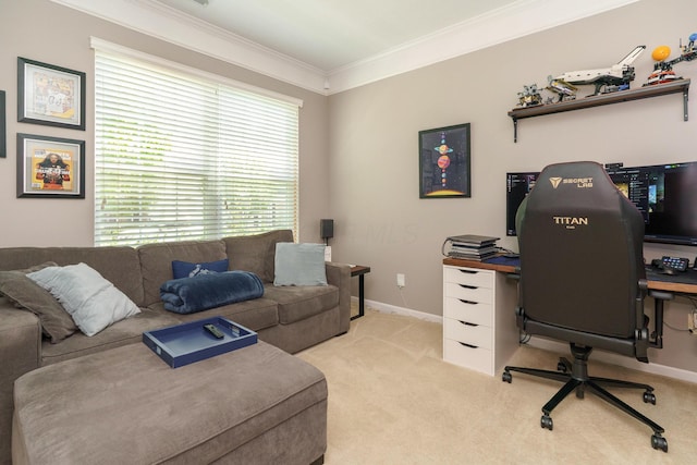 carpeted office with crown molding and baseboards