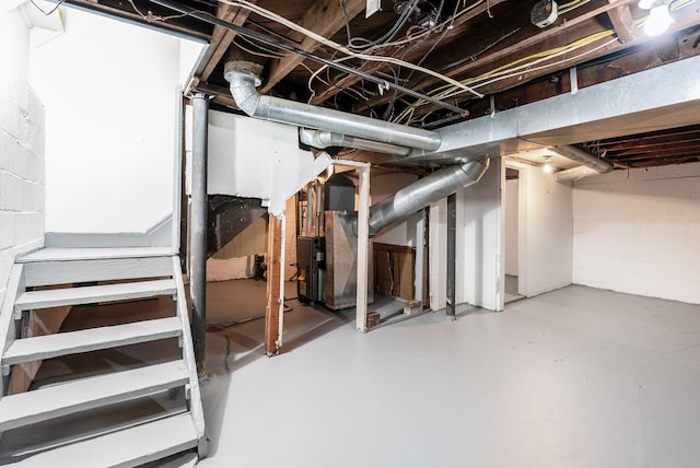 unfinished below grade area with concrete block wall