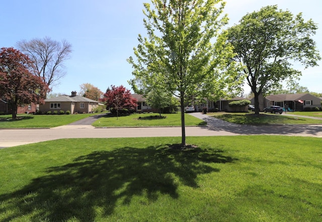 view of yard featuring a residential view