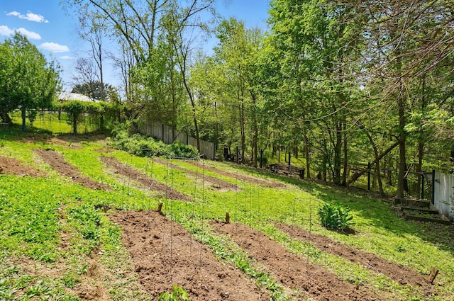 view of yard with fence