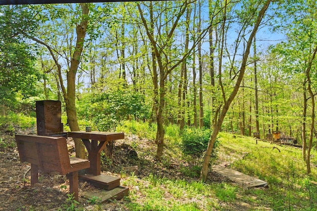 view of yard featuring a view of trees