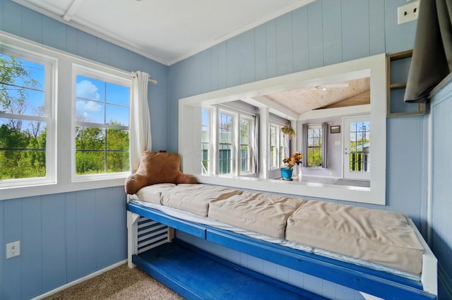 bedroom featuring carpet flooring and lofted ceiling