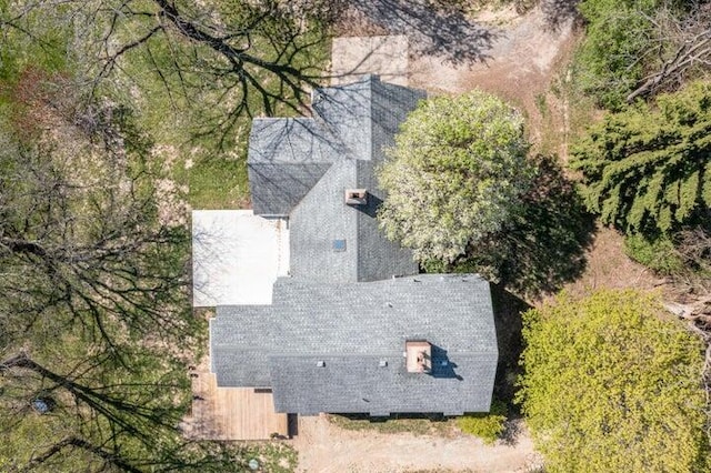 bird's eye view