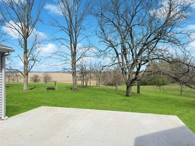view of yard with a patio area