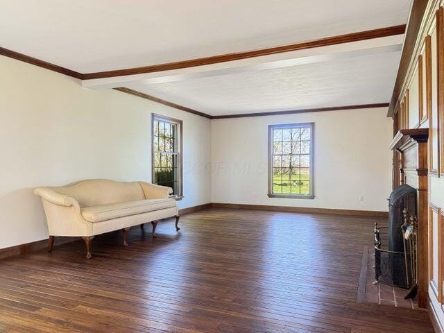 sitting room featuring a fireplace with raised hearth, hardwood / wood-style floors, and a wealth of natural light
