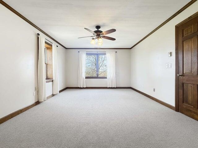 spare room with crown molding, ceiling fan, and light carpet