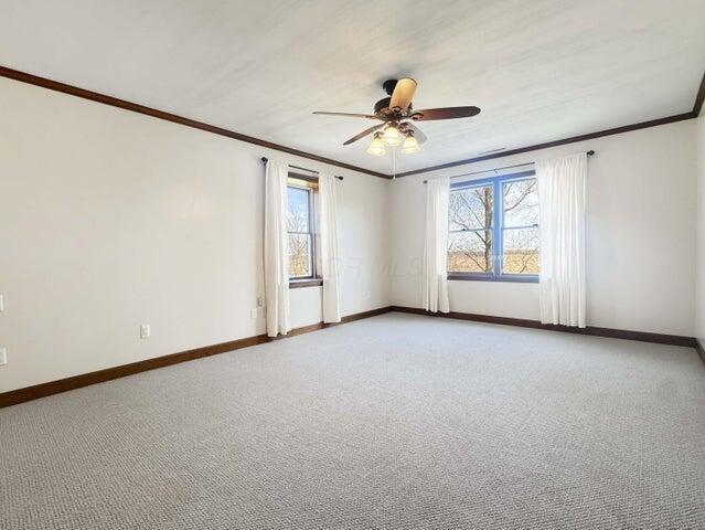 unfurnished room with crown molding, a ceiling fan, baseboards, and light colored carpet