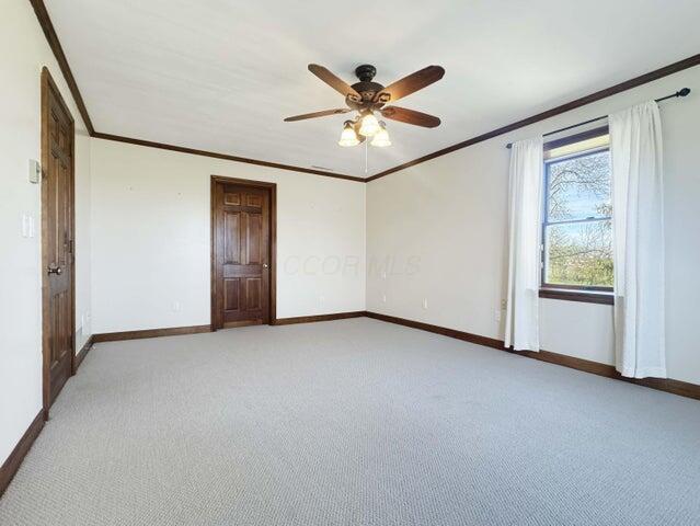 unfurnished room with crown molding, a ceiling fan, baseboards, and light carpet