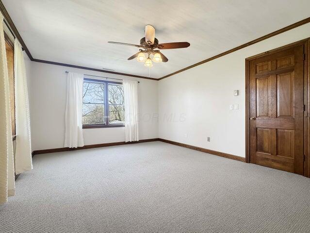 spare room featuring baseboards, ornamental molding, light carpet, and a ceiling fan
