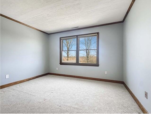spare room featuring a textured ceiling, light colored carpet, ornamental molding, and baseboards