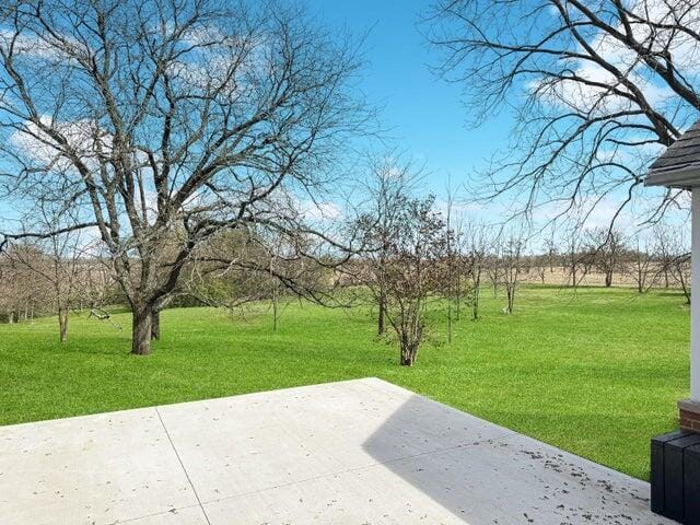 view of yard featuring a patio area