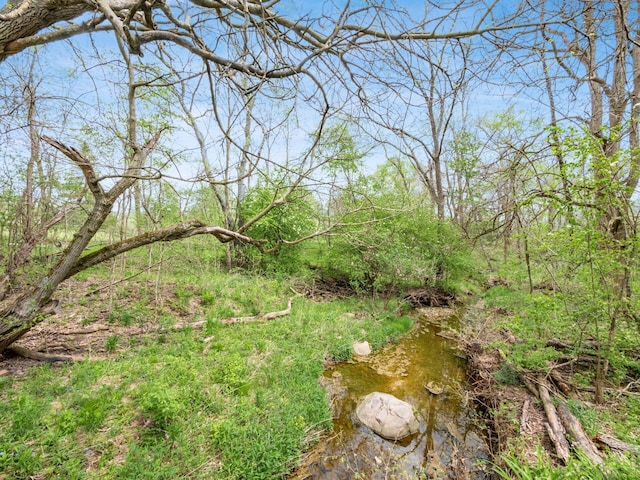 view of landscape