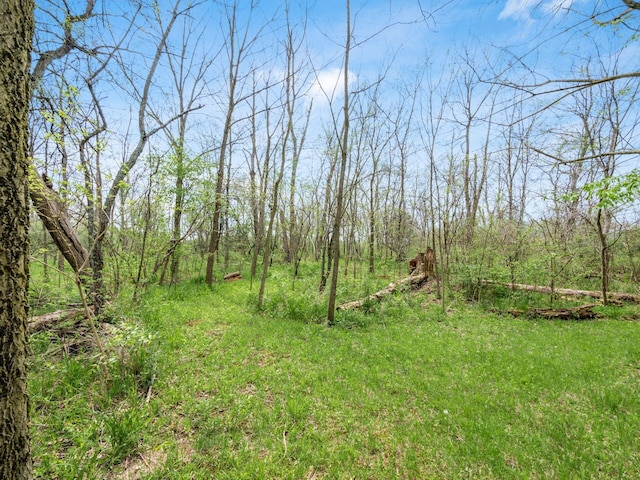 view of landscape featuring a forest view