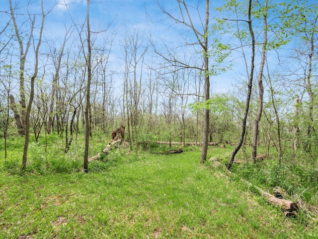 view of local wilderness with a view of trees