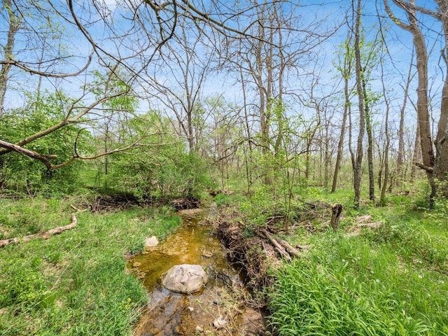 view of nature