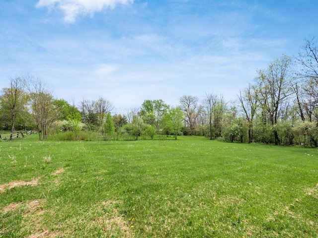 view of yard with a rural view