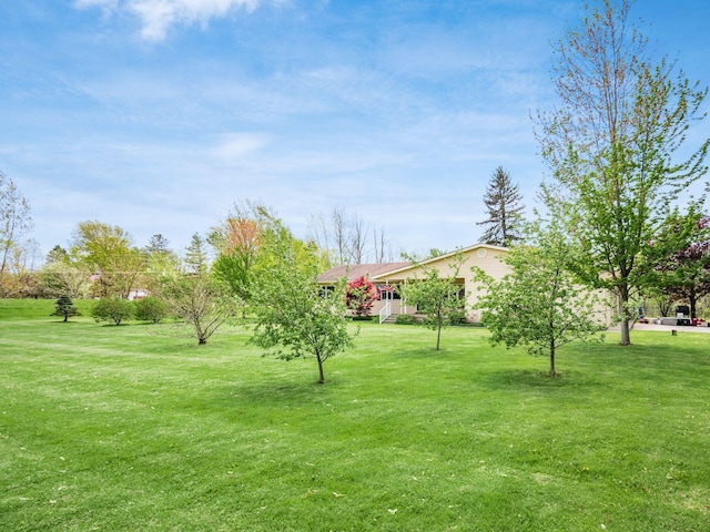 view of yard