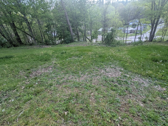 200 Ann St, New Straitsville, OH 43766 - view of yard