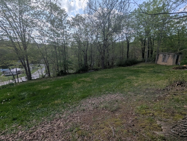 200 Ann St, New Straitsville, OH 43766 - view of yard with an outdoor structure