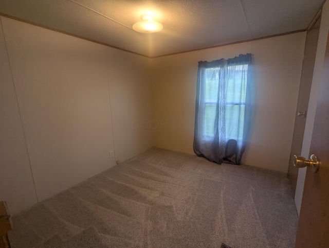 200 Ann St, New Straitsville, OH 43766 - empty room featuring carpet flooring and a textured ceiling