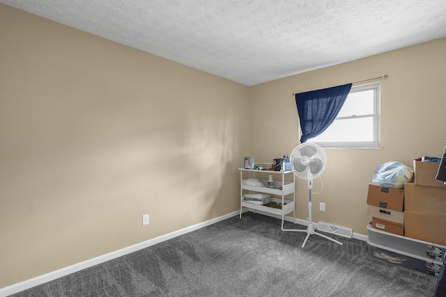 5968 Lisa St, Columbus, OH 43231 - miscellaneous room featuring carpet, baseboards, and a textured ceiling