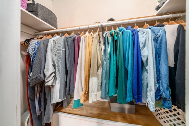 view of walk in closet
