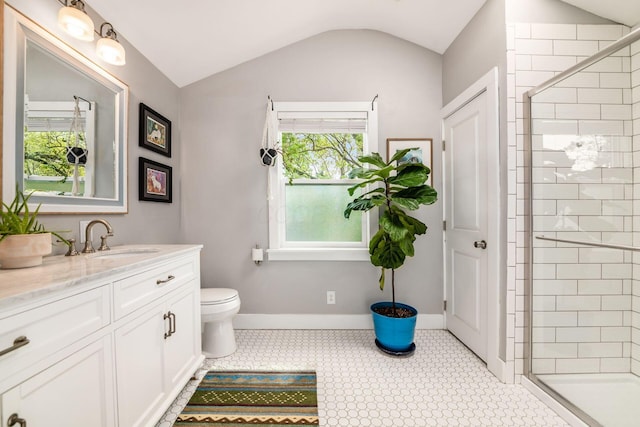 bathroom featuring a stall shower, lofted ceiling, and a healthy amount of sunlight