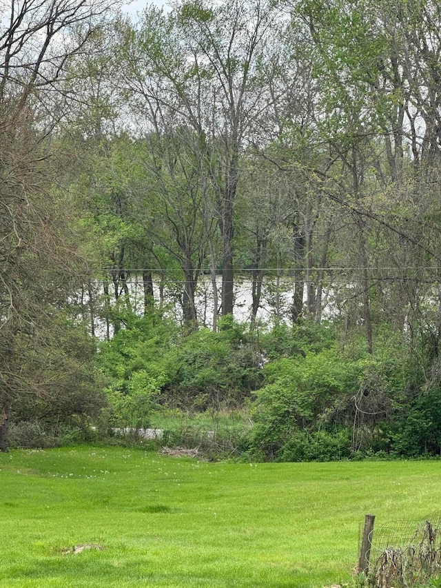 view of yard featuring a water view and a forest view