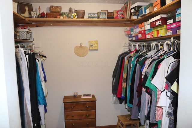 10160 Wellington Dr, Pickerington, OH 43147 - view of walk in closet