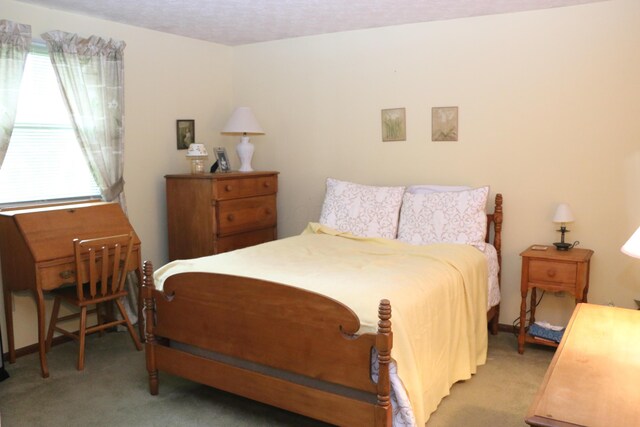 10160 Wellington Dr, Pickerington, OH 43147 - bedroom with carpet
